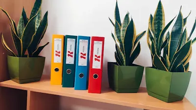 Kadra Biuro Rachunkowe Sp. z o.o.